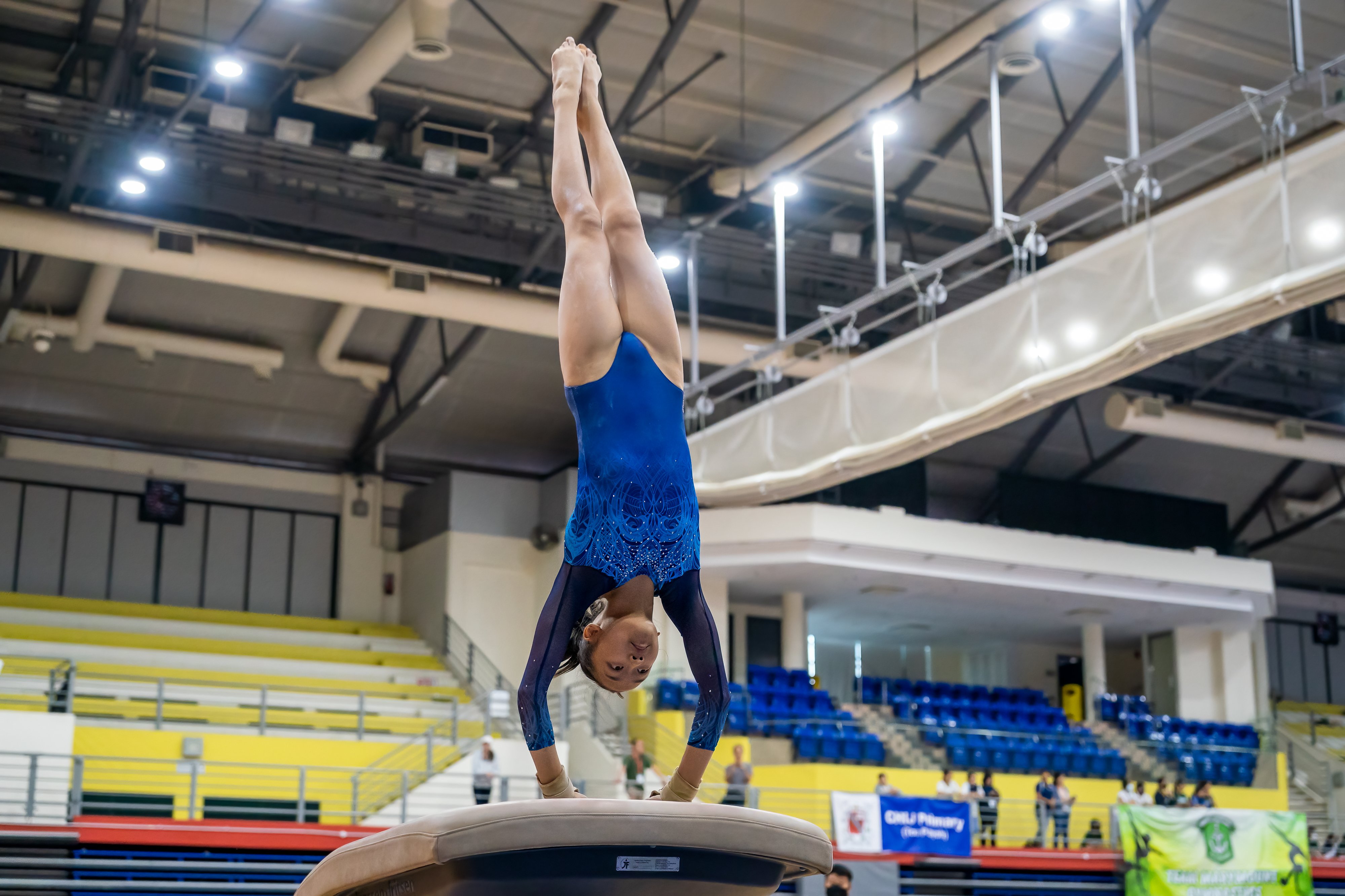 20230420_ArtisticGymnastics_RonLow_-009