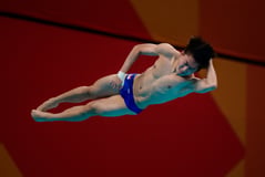 Read about Asian Games 2026: Divers inspired at the end of campaign