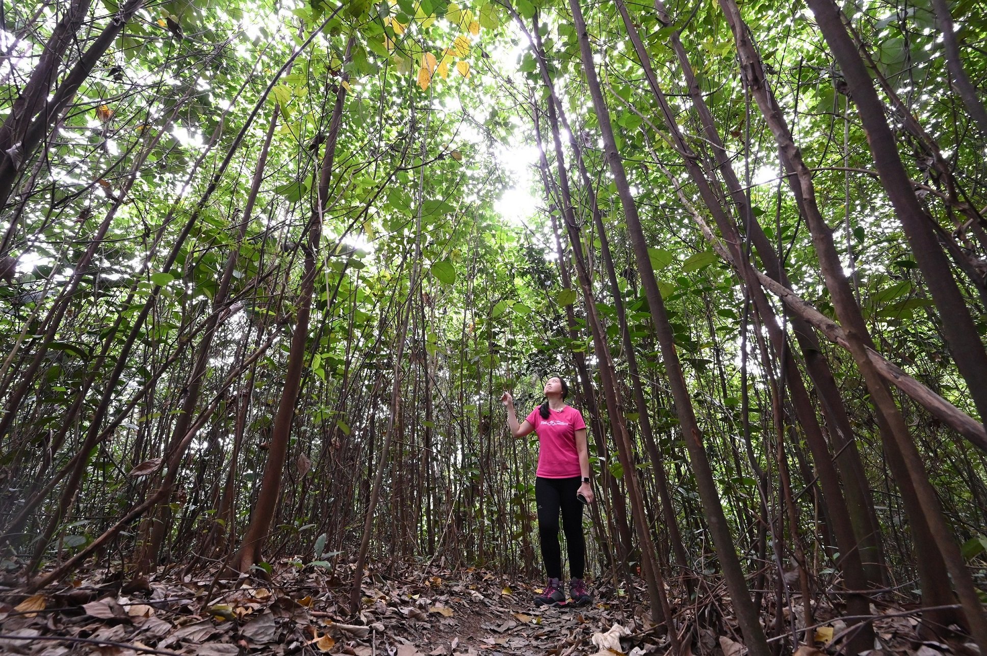 3a. Bukit Batok Hillside Park_3WheelingTots