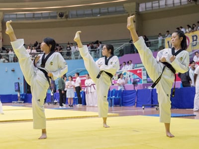 taekwondowork