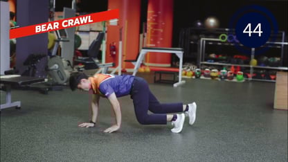 Bear-Crawl