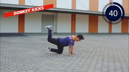 Donkey Kicks