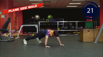 Plank Side Walk