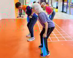 Combat Age-Related Loss of Muscle (CALM) 1.0 & 2.0