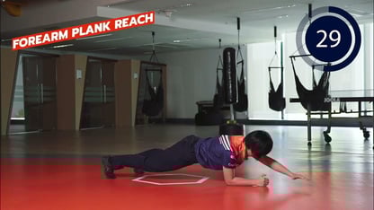 Forearm-Plank-Reach