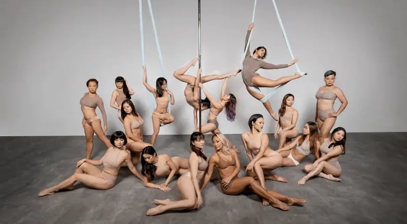 Group of pole and aerial dancers