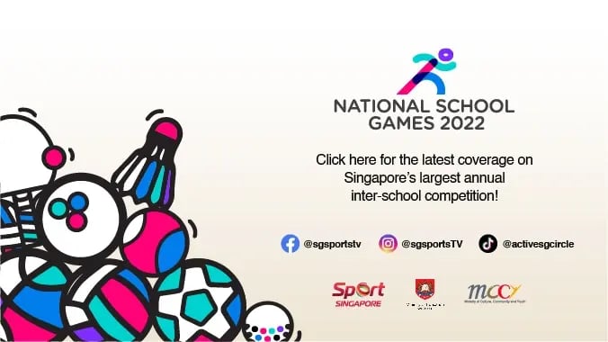 NSG MOE Web Banner