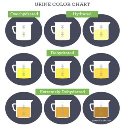 Screenshot_2020-01-31_at_17_13_16