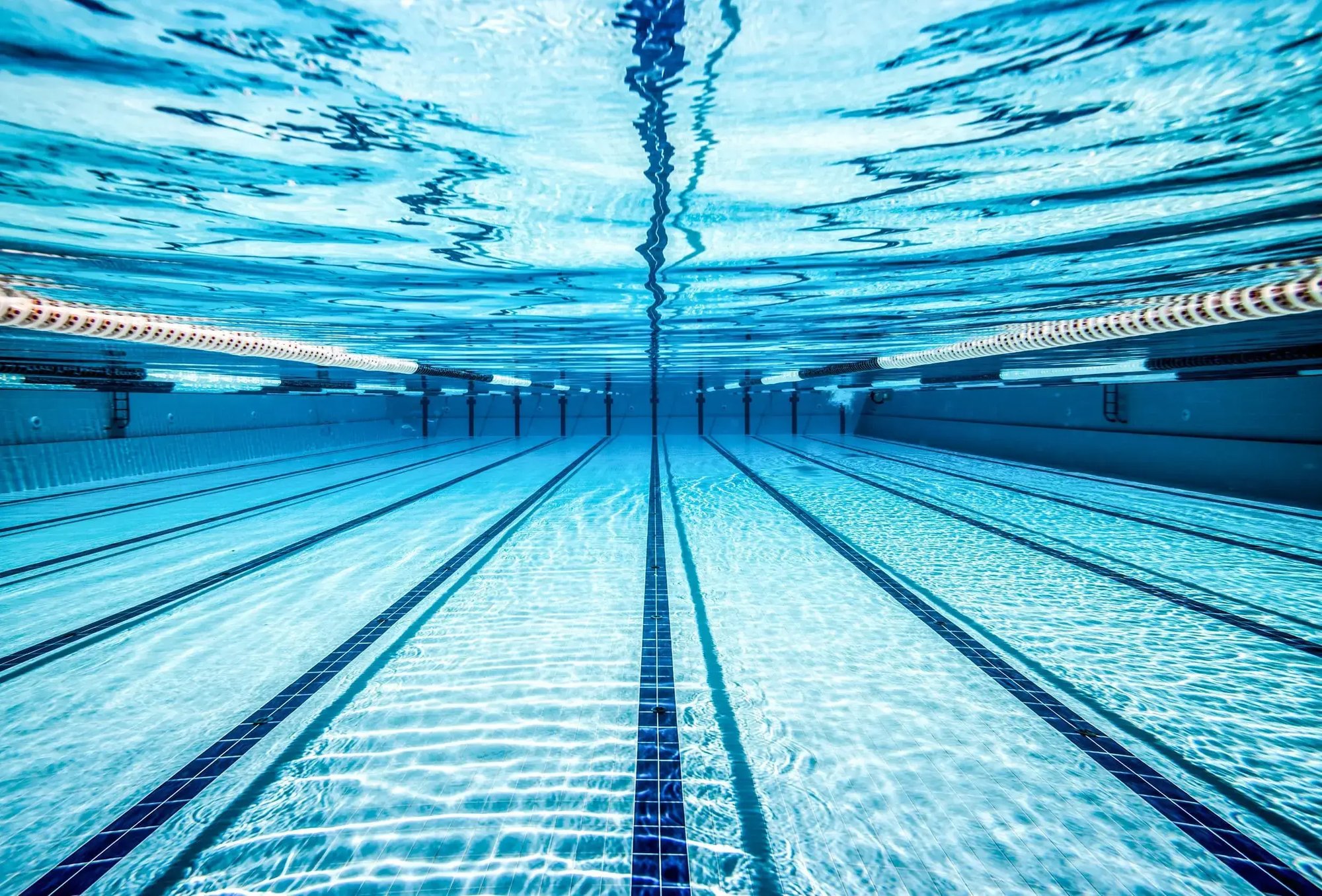 Swimming Poolv1