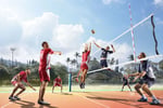 Volleyball Facilities