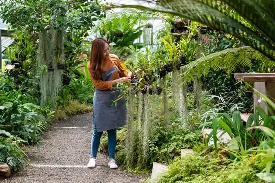 a-young-asian-female-gardener-taking-care-of-plant-2021-10-21-03-29-34-utc (1)