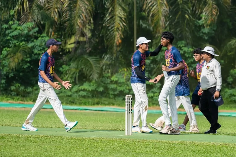 NSG 2024 Cricket: A Div Anglo-Chinese School (Independent) vs Raffles Institution