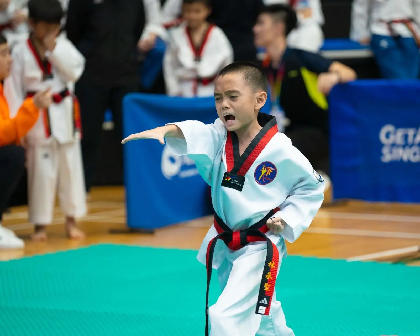 martial arts