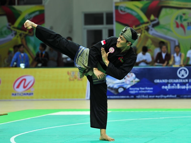 Silat categories