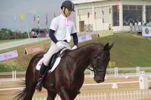 Equipment for Equestrian