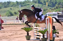 Equestrian Rules and regulations for Jumping