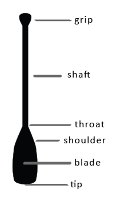 GC239_HoldKayak2