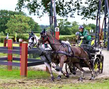 Para Equestrian events