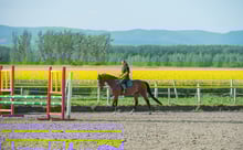 	Improving your fundamentals in Equestrian