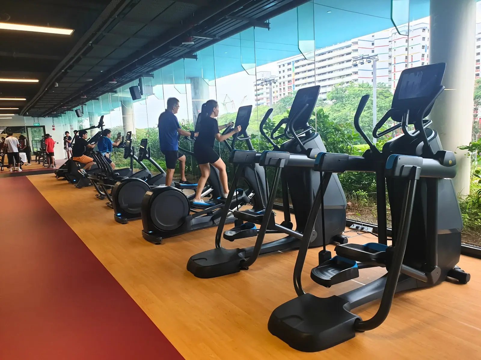 Gyms