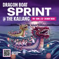 Dragon Boat Sprint @The Kallang