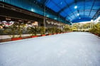 20221213_Katong_7609