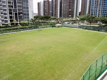Bartley Secondary School Field
