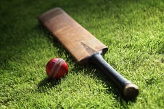 Cricket