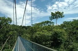 Hiking