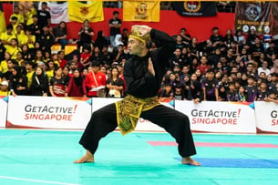Pencak Silat, Photo Credit - Team Nila Photographer, Zainuddin Adam