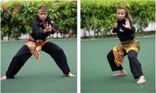 Sport & Art of Silat: Watering the Flower