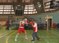 Ep 3 - Basic Boxing