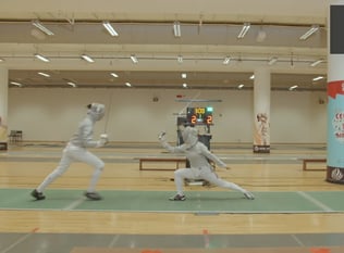 Combat Collection: Fencing