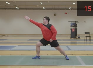 Combat Collection: Fencing