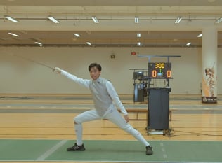 Combat Collection: Fencing