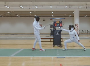 Combat Collection: Fencing