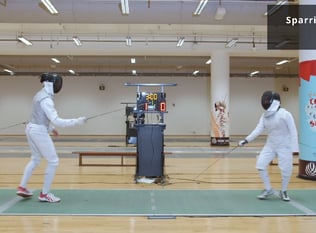 Combat Collection: Fencing