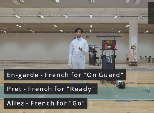 Combat Collection: Fencing