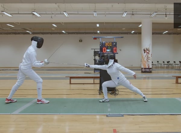 Combat Collection: Fencing