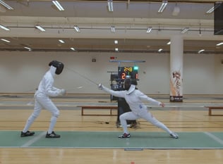 Combat Collection: Fencing