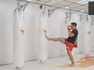 Combat Collection: Kickboxing