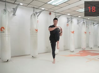 Combat Collection: Kickboxing