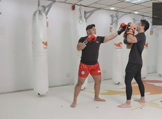 Combat Collection: Kickboxing