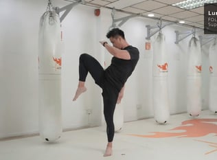 Combat Collection: Kickboxing