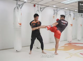 Combat Collection: Kickboxing