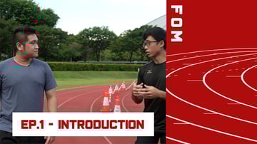 Foundation of Movement