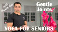 Ep 21 - Gentle Joints