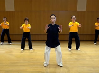 Taiji Quan Master Series