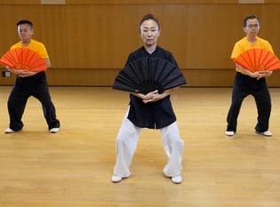 Taiji Quan Master Series