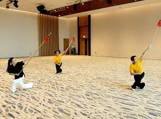 Taiji Quan Master Series